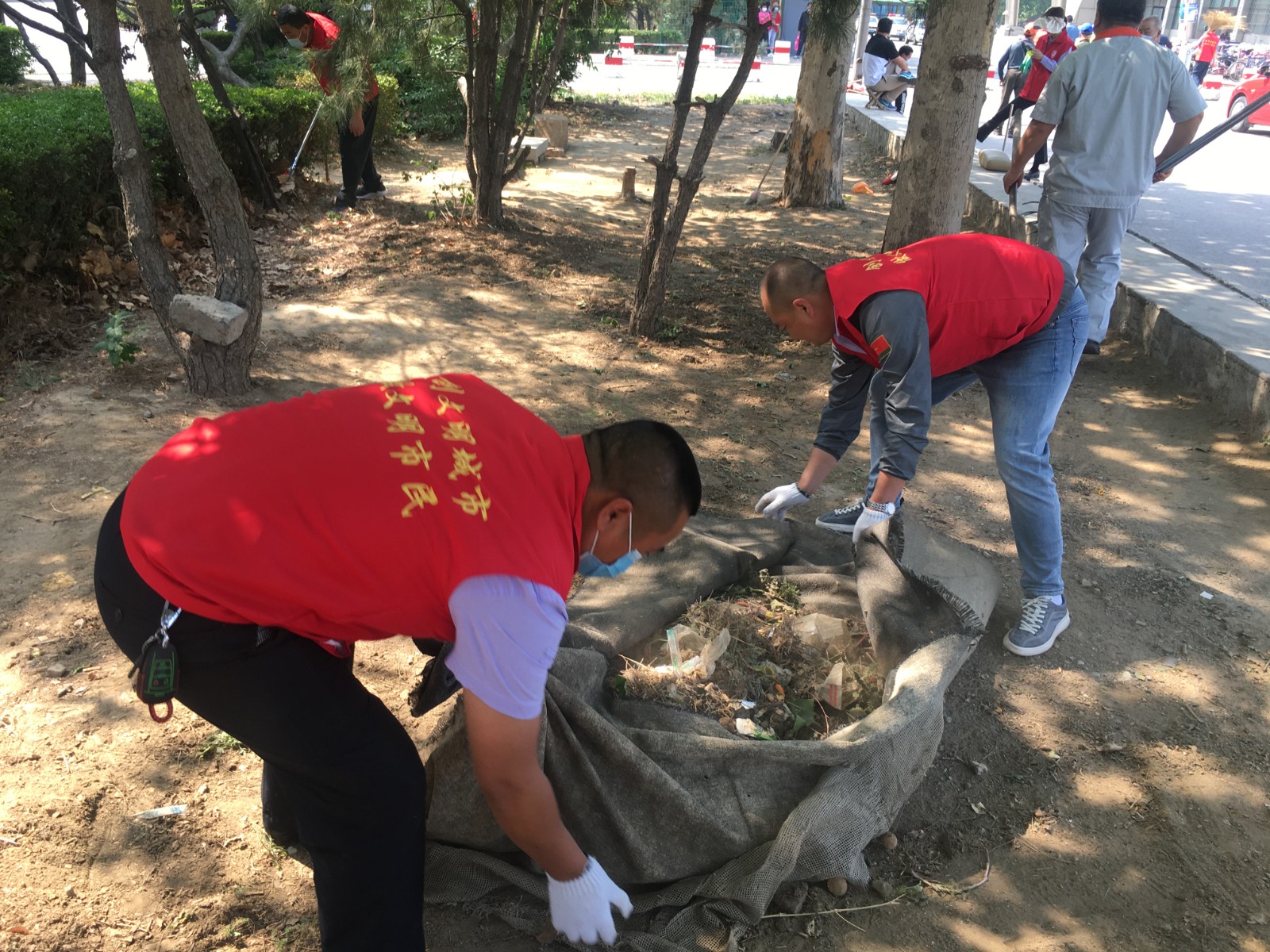 81656345.jpg 81656345.jpg